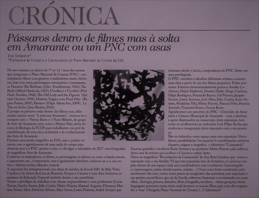 Jornal Flor do Tâmega 24 de Outubro 2017 ano7